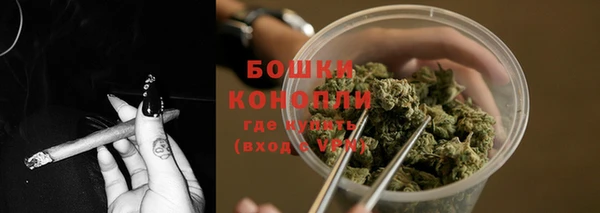 амф Белокуриха
