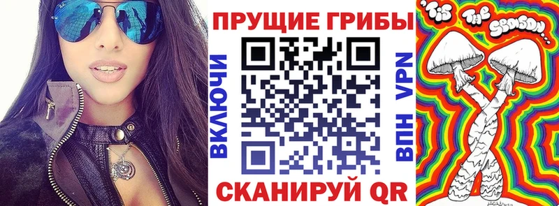 даркнет сайт  Севск  Галлюциногенные грибы GOLDEN TEACHER 